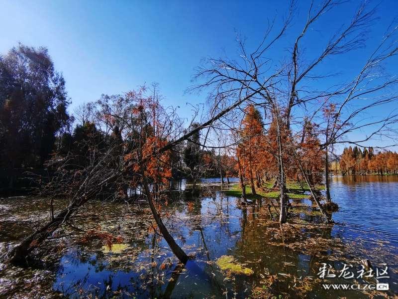 玩转如何让清汤寡水的面条变得好吃?,知识星球助你成长